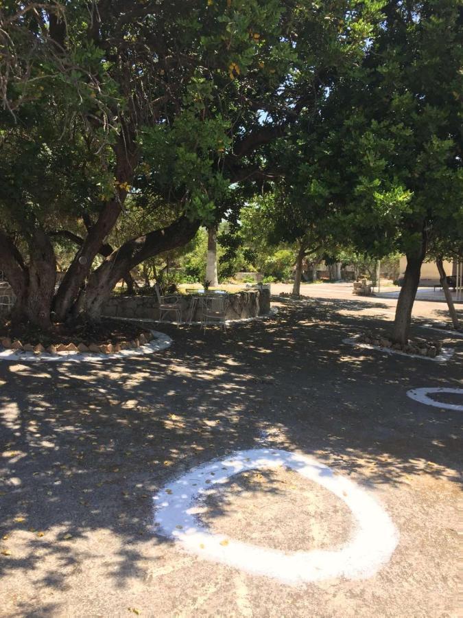 Хостел Αγρόκτημα Χελωναριά - Agroktima Chelonaria Храні Екстер'єр фото