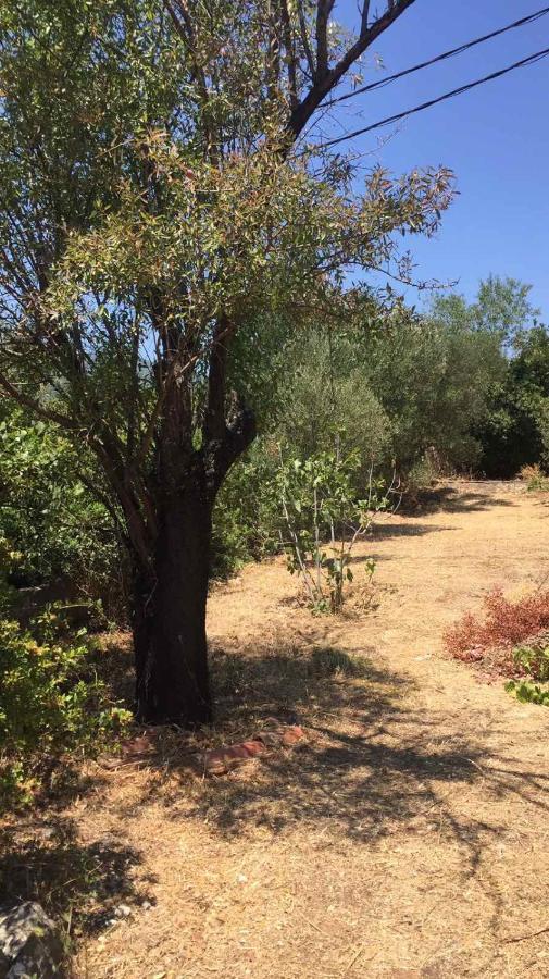Хостел Αγρόκτημα Χελωναριά - Agroktima Chelonaria Храні Екстер'єр фото